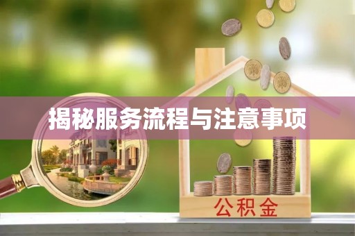 杜集揭秘服务流程与注意事项