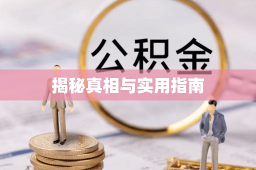 杜集揭秘真相与实用指南