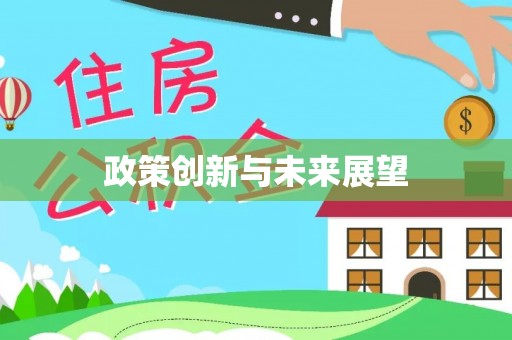 杜集政策创新与未来展望