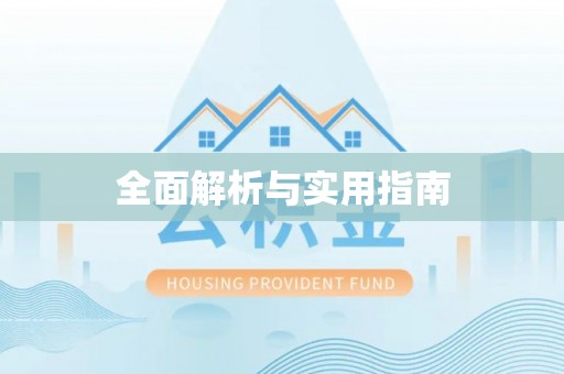 杜集全面解析与实用指南